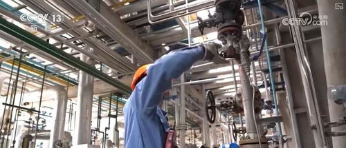 煉化工廠成鳥兒新家 綠色工業(yè)設(shè)計(jì)服務(wù)，盡顯工業(yè)之美